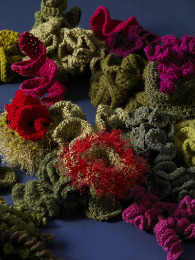 crocheted coral reef