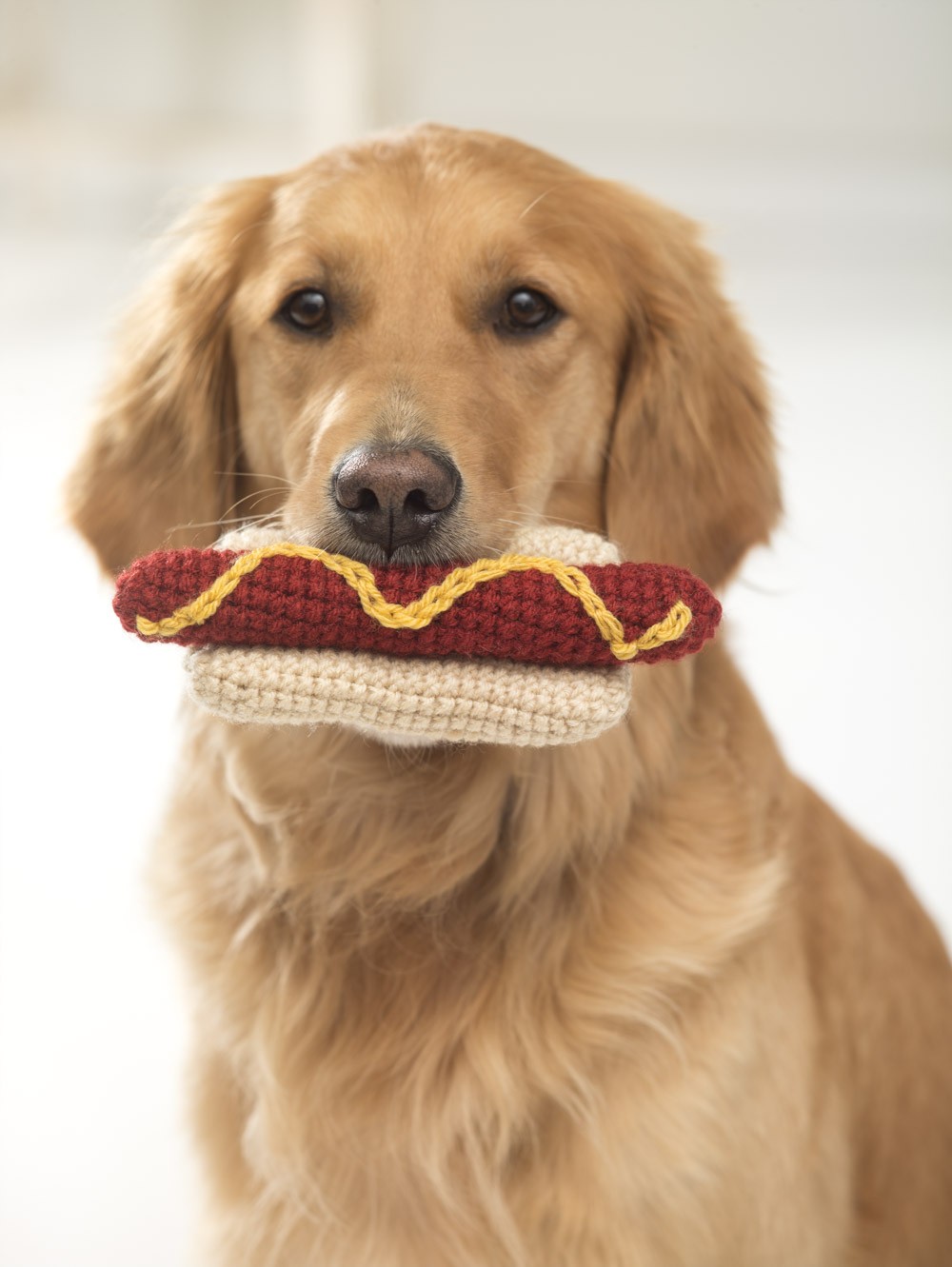 Coney Island Frank Dog Toy Crochet