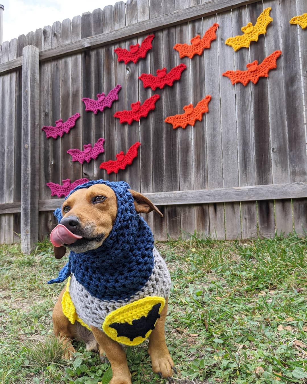 Dog Batman Yarn Costume