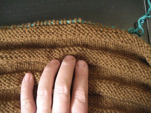 transfer the stitches onto scrap yarn step 3