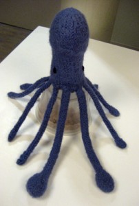 Squid Knitting Project