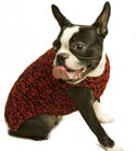 Need for Tweed Dog Sweater