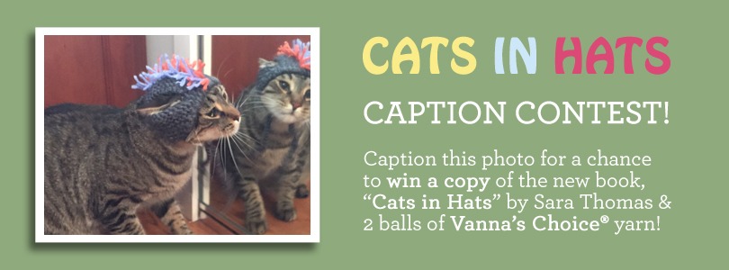 cats in hats caption contest