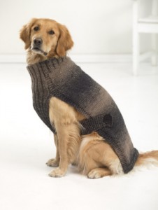 Hunter's Urban Dog Sweater