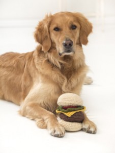 Red Hook Cheeseburger Dog Toy
