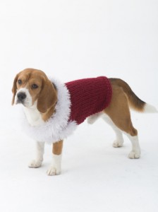 dogsweater
