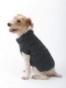 Poet Dog Sweater