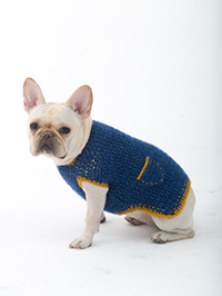 Casual Friday Dog Sweater