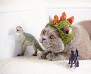 Cats in Hats Dinosaur Hat