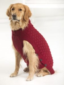 Clifford Dog Sweater (Knit)