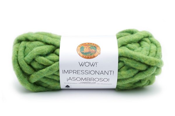 WOW Yarn in Avocado Toast