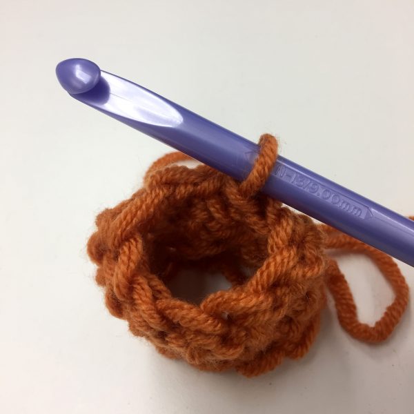 Crochet In The Round Step 8