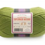 Spring Leaf Skein (Superwash Merino Yarn)