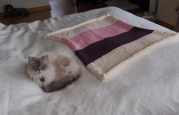 Thick and Quick Blanket