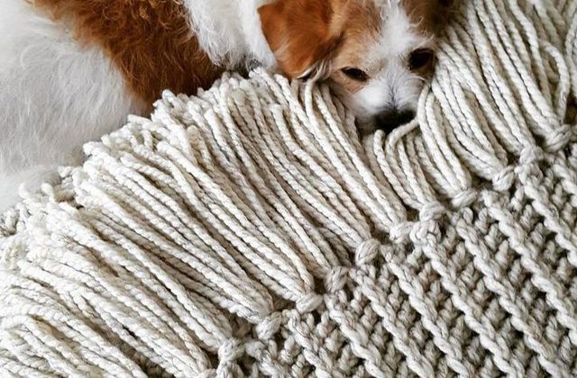 Charity Crafting For Animals: Comfort for Critters