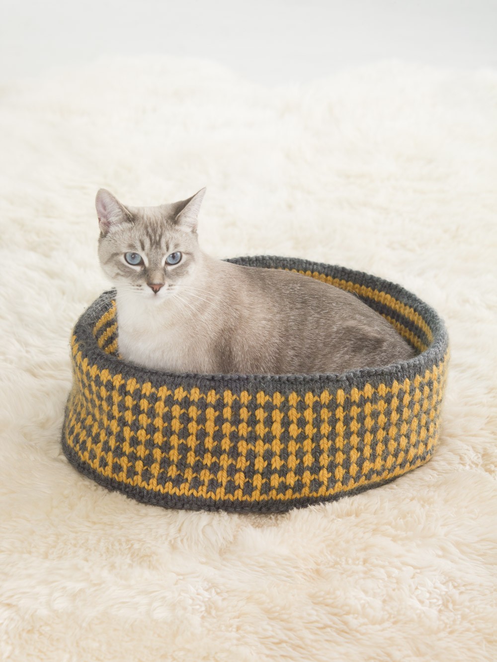 Pretty Kitty Bed Knit
