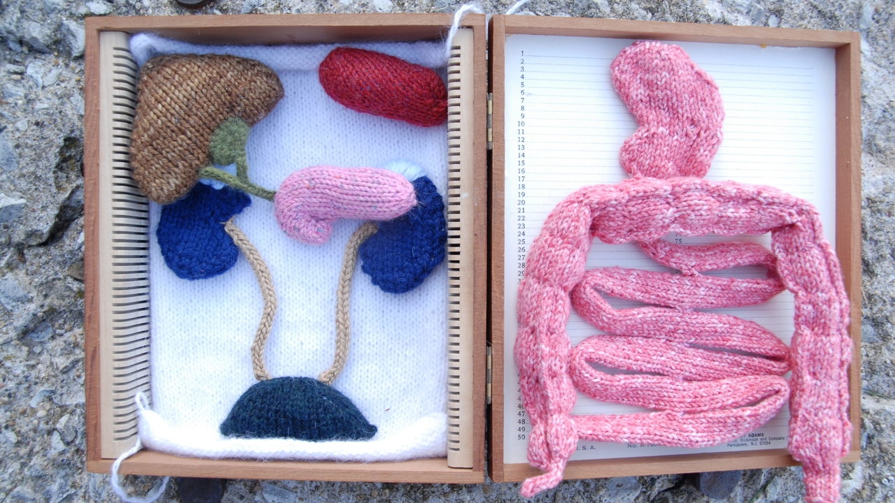 Yarn Organs