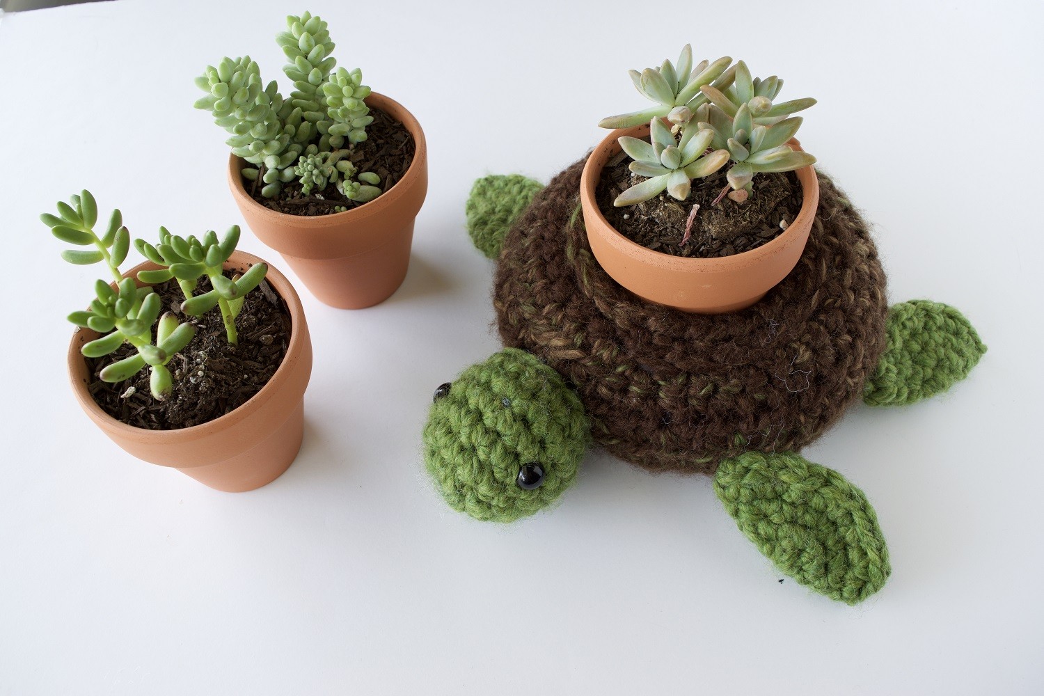 Turtle Succulent Pot Holder Crochet