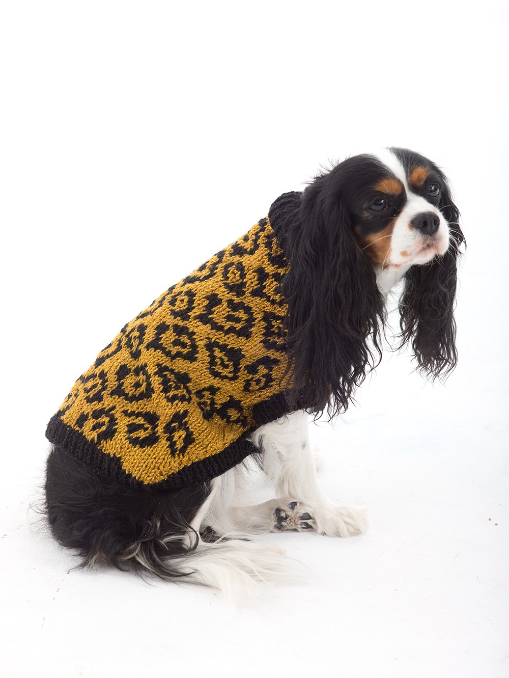 The Animal Lover Dog Sweater Knit