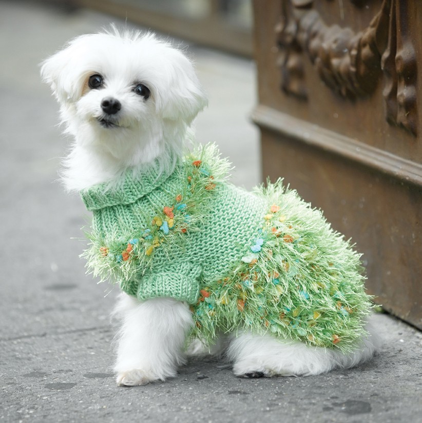 Turtleneck Dog Sweater Pattern Knit