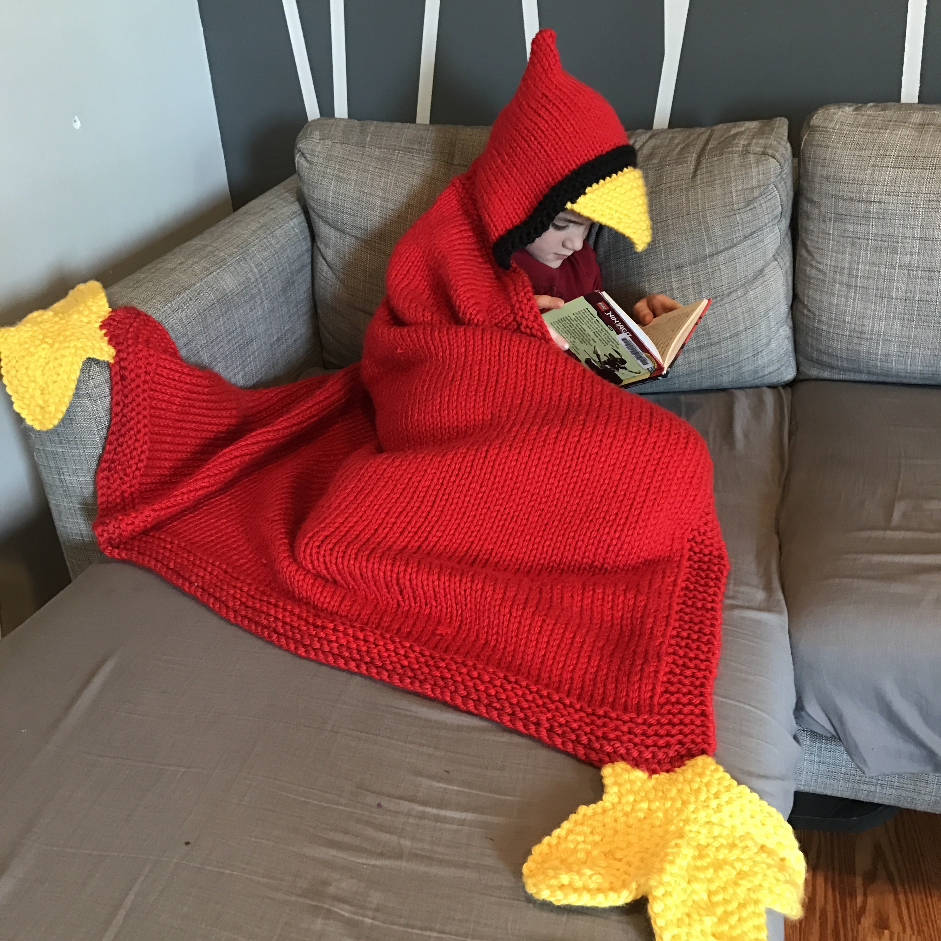 Hooded Bird Blanket (Knit Kit)